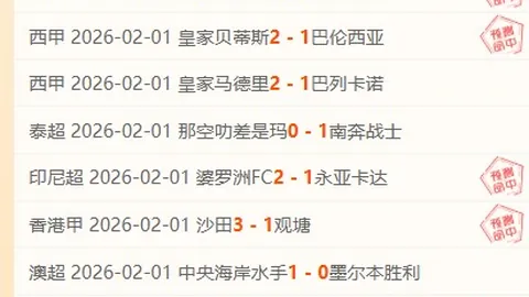 【独家放送】NBA焦点对决解析：热火对魔术深度分析，揭秘胜负关键与精准让分指南！